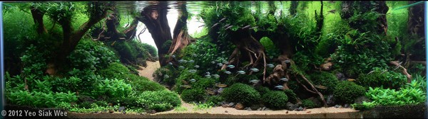 Yeo Siak Wee (Malezja)